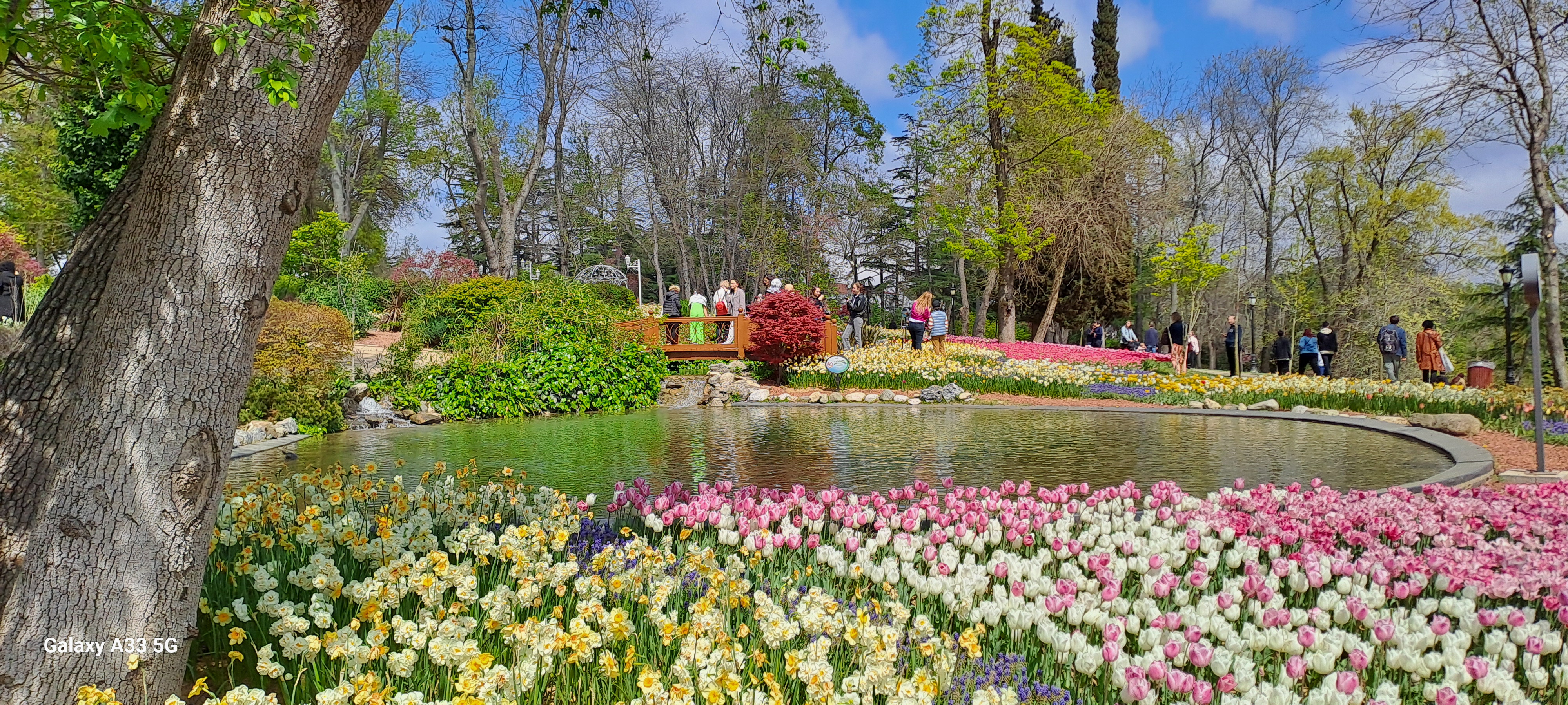 Isztambul - Tulipánok